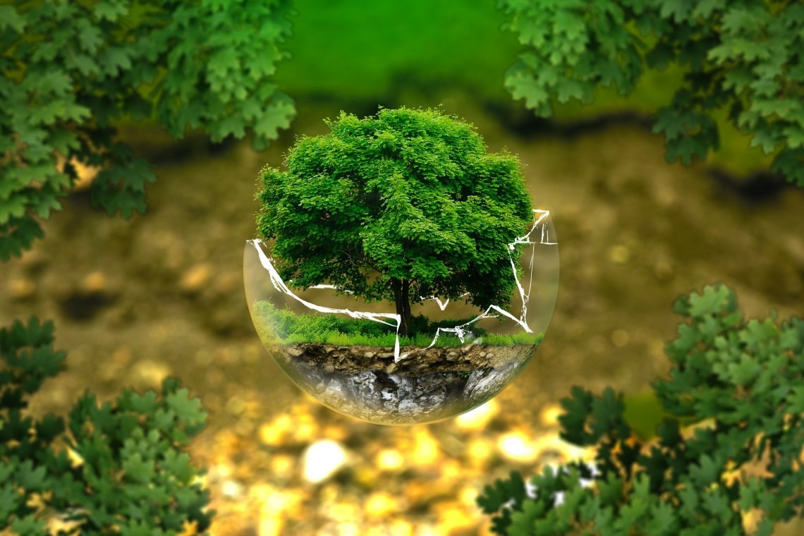Drupal Digital Marketing NGOs