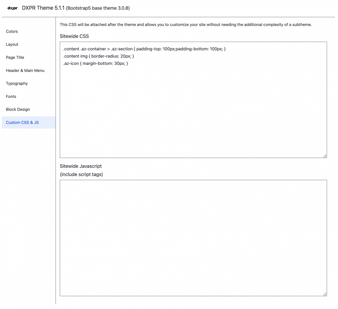 DXPR Theme Custom CSS & JS Settings
