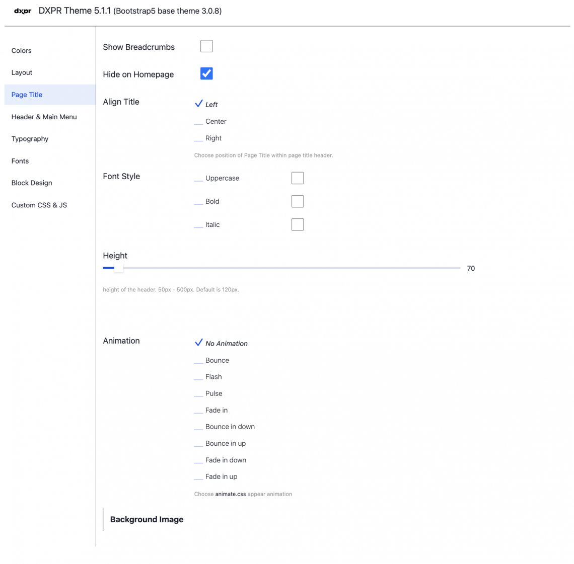 DXPR Theme Page Title Settings