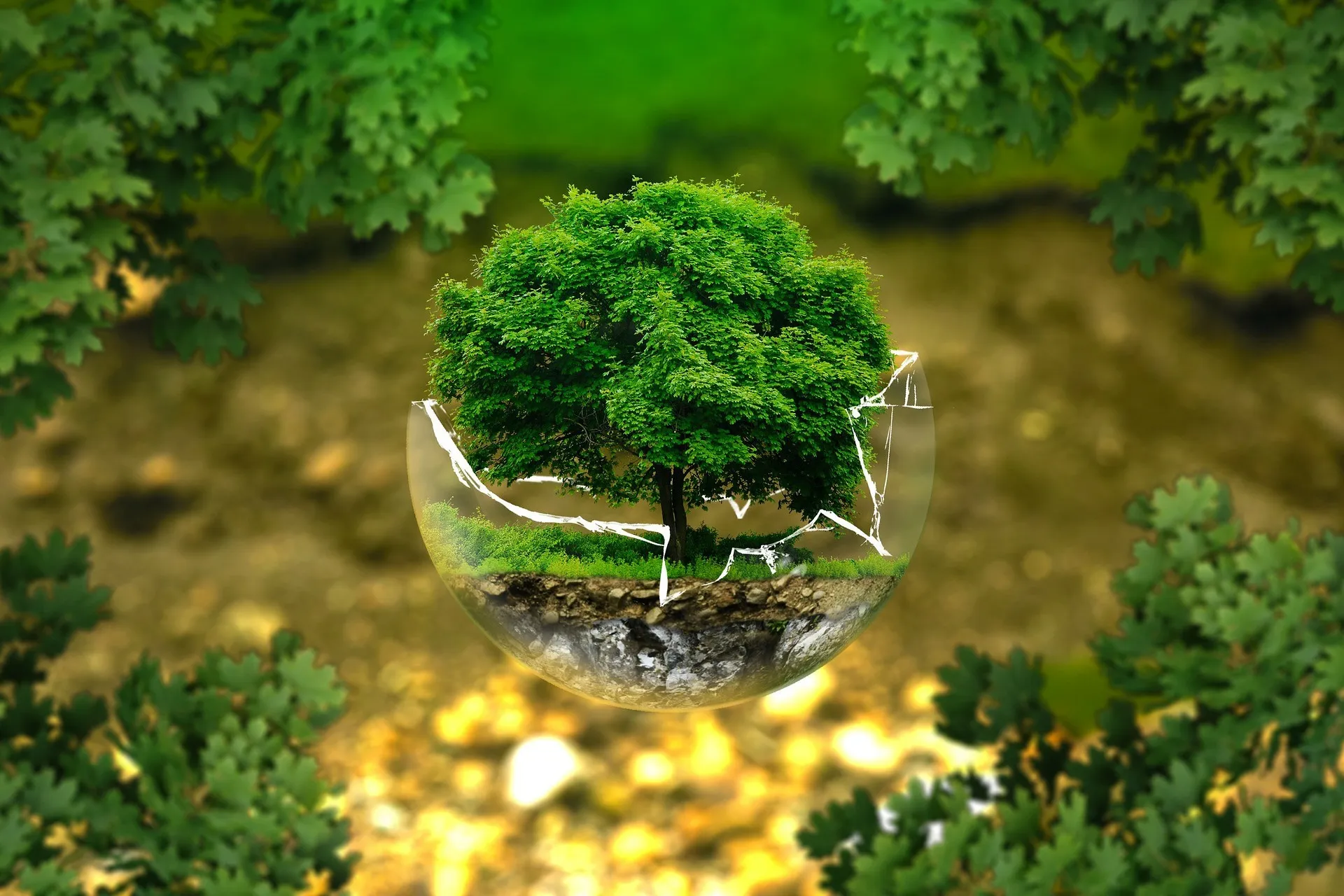 Drupal Digital Marketing NGOs