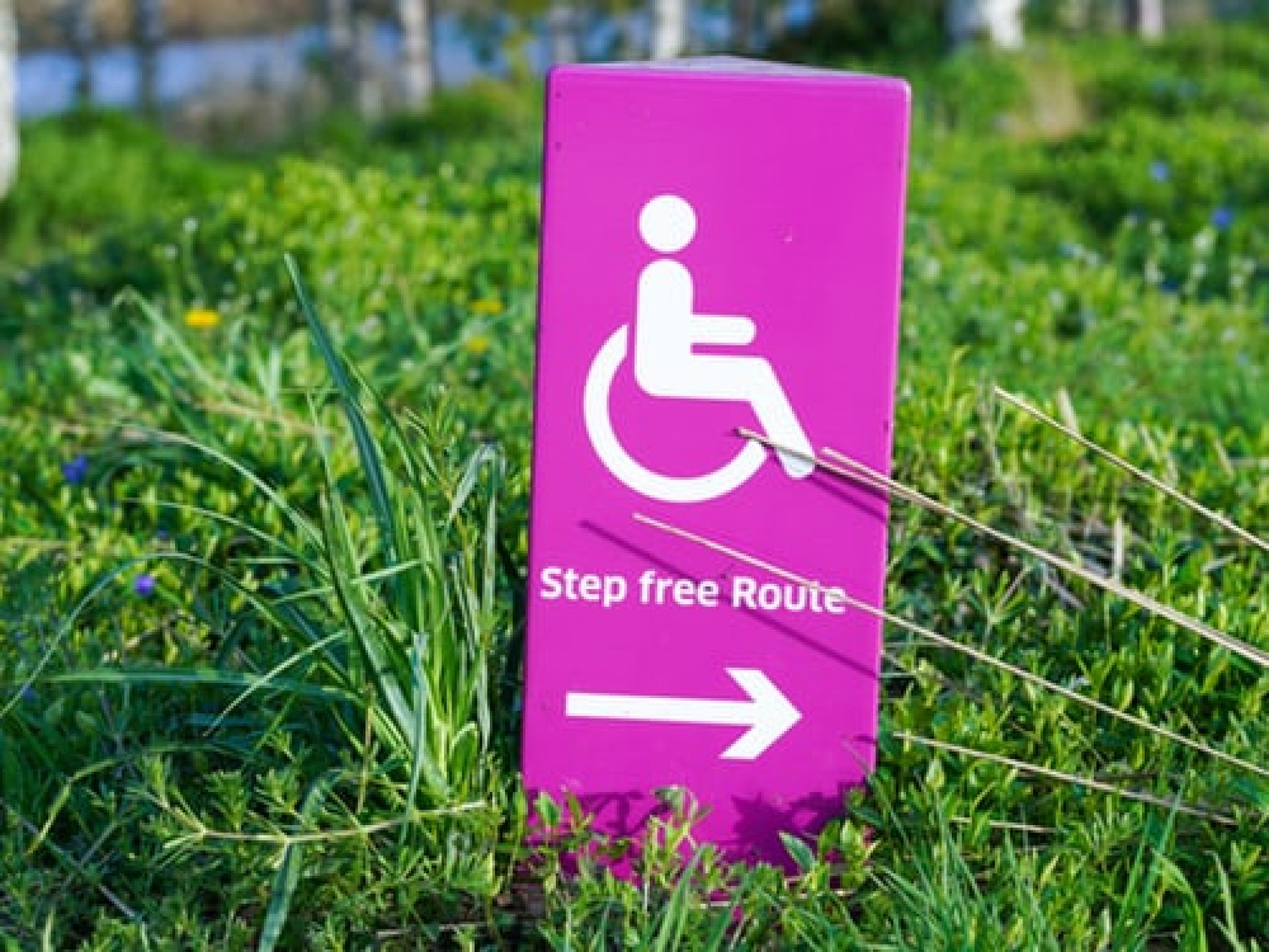 web accessiblity web accessiblity