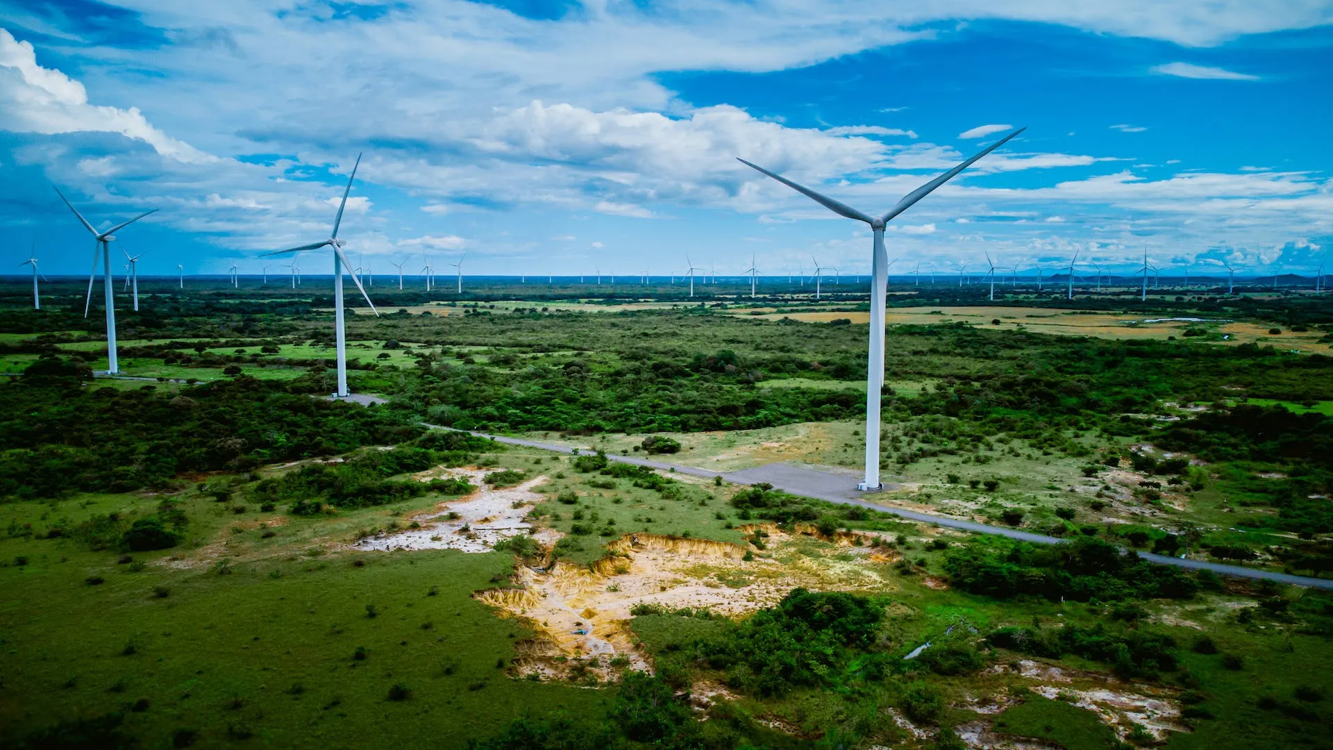 Wind turbines in a landscape featured by UNDP Sustainable Finance Hub